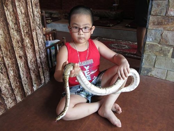 在越南这另类的爬虫咖啡馆里面,胆子大的顾客可以和馆内的动物近距离接触。