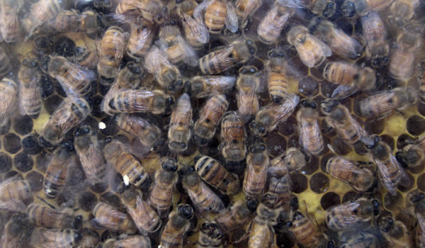 ���۷��������ʹ���ǿ�