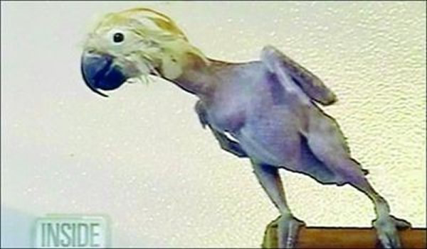 ������������԰һֻ�����������ñ��οͺ��Ӱι��Լ�����ë