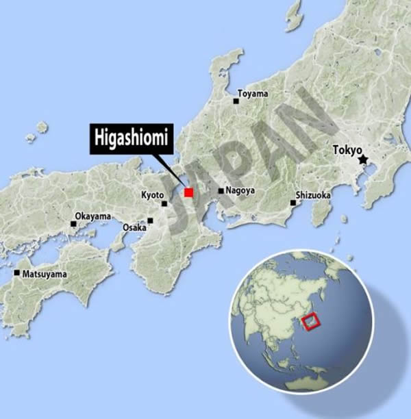 红色方块位置便是东近江,拥有1250年历史的樱桃树Chujohimeseigan-zakura生长在东近江的一座寺庙。