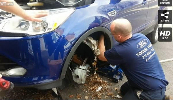 ����һ��������ǰ�ֹ�����