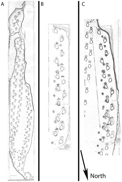 用3D模型研究恐龙足迹