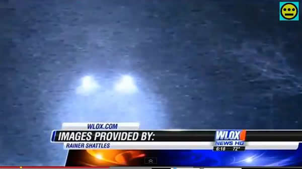 美国红外摄像头拍摄到树林中的不明飞行物和小鹿“交流”