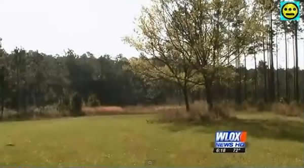 美国红外摄像头拍摄到树林中的不明飞行物和小鹿“交流”