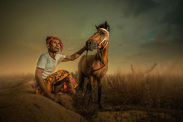 2014年索尼摄影大赛作品