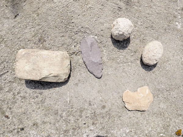 临海小芝史前遗址初步踏查出土的部分石器