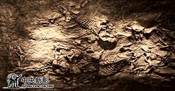 CCTV��¼Ƭ������֮������������Ӱ������Ƚ�