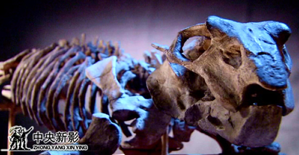 CCTV纪录片《九龙之死》获中央新影集团年度