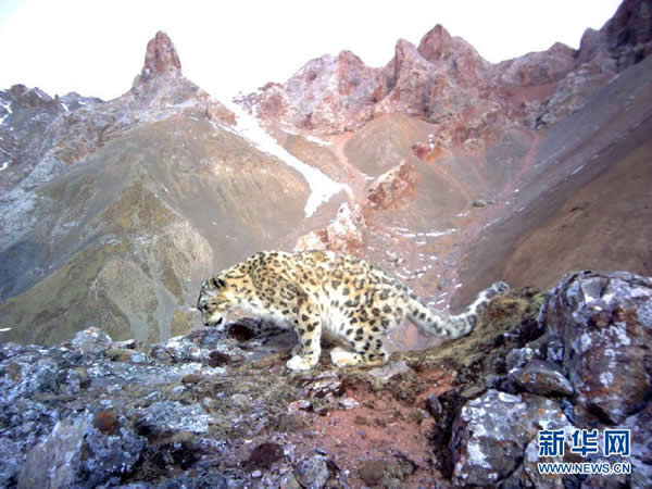 ���Ǻ���������Ӷ��������羳�����㵽��ѩ����Ƭ��1��11���㣬ͼƬ�ɱ���ɽˮ��Ȼ���������ṩ����