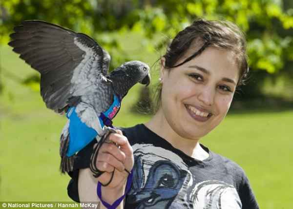 ����������