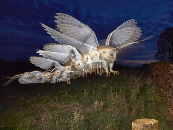 ����Ӱ������ץ�Ĳ��^����