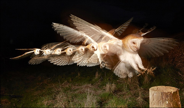 ����Ӱ������ץ�Ĳ��^����