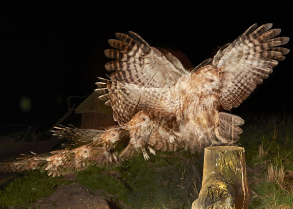 ����Ӱ������ץ�Ĳ��^����