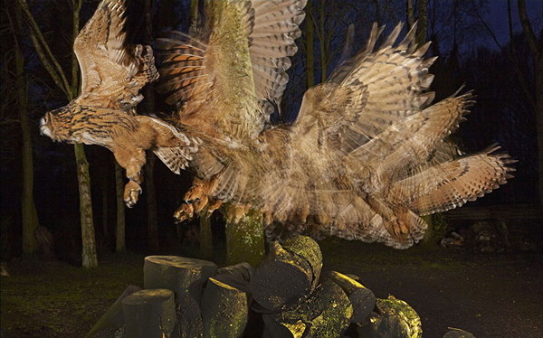 ����Ӱ������ץ�Ĳ��^����