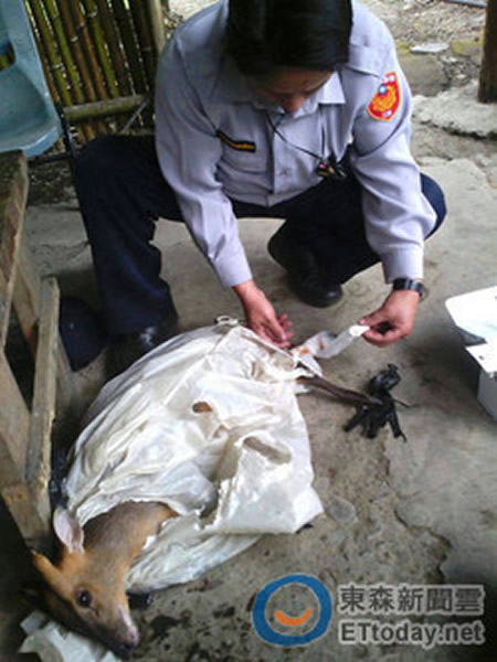 ̨���ܱ�������ɽǼ����������ס��������