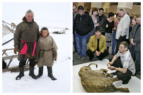 ѱ¹ϼ11Ķ𱴺Ӽľʱšű˹лŵ˹(Shemanovsky)ݡ