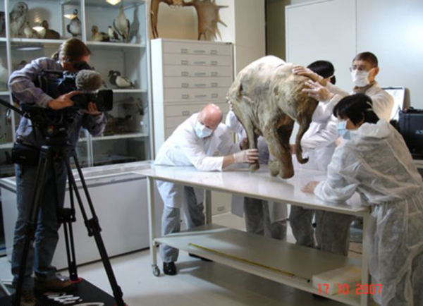 ѧţŵһ⡣ʱںӱߺˮʧ࣬ʹʬ屻¡