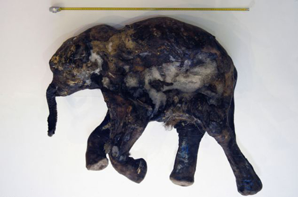 һͷ峤130׿80ףͱȹԴ