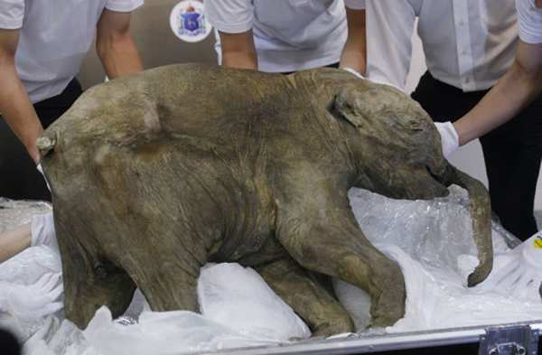 ڶ˹йԼ֥Ӹչ5ŷ״չ