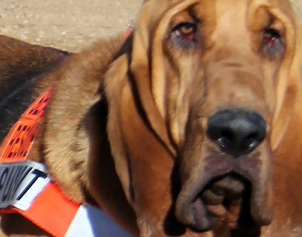 �Ѿ�Ȯ�������������ﾺ�����ֵ�ѡΪ�������������ݴ�������