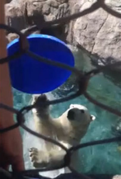 ����԰�����ܰ��οͼ����