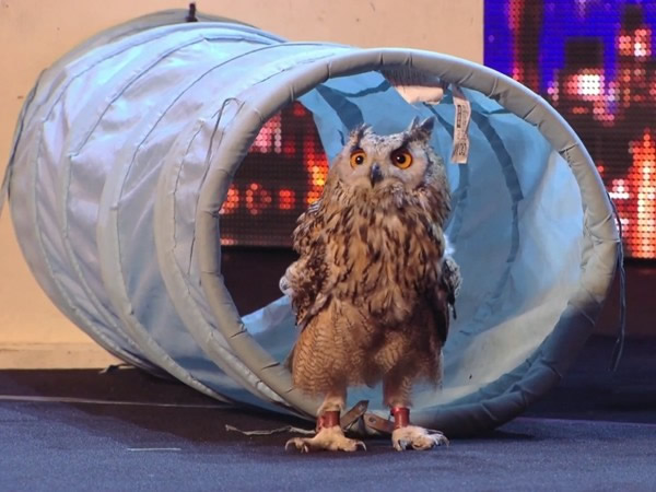 ���˶�����գ���������߳�������ɱ��ݡ�