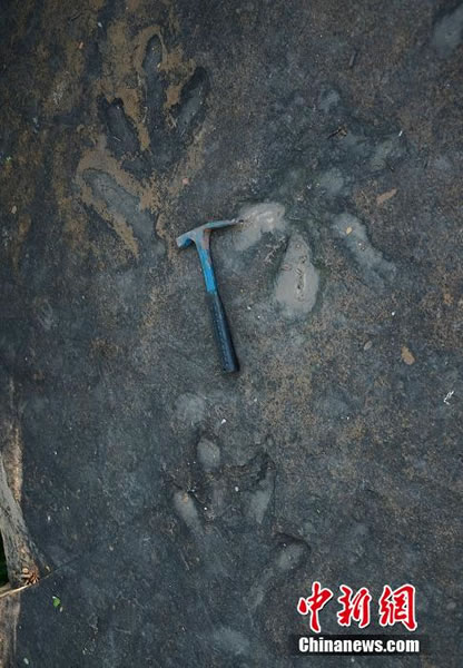 �Ĵ���֦���������㼣��ʯ