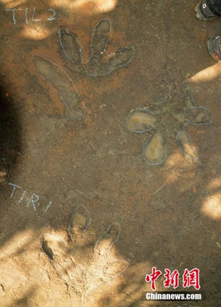 �Ĵ���֦���������㼣��ʯ