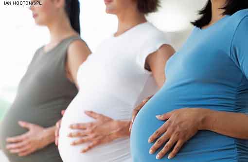 ĸ�����Žϸߵ���������ָ����BMI����̥��������������Ӥ���������յ������й�