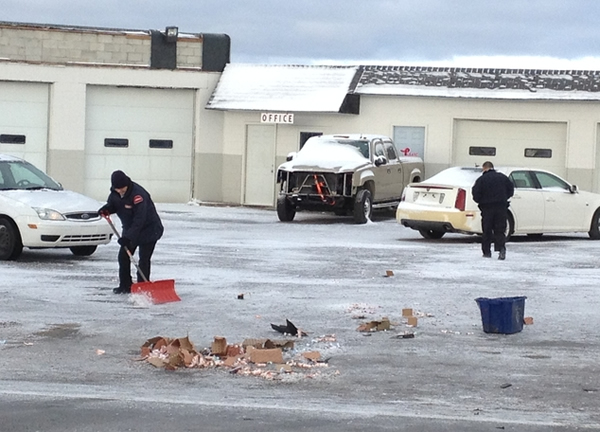 �����˳���������ͨ�¹��°�������ɢ����