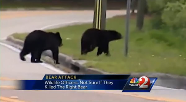 ̩��ס�������ӽ���Ȼ���������������ᵽ���������Ѱ��ʳ�