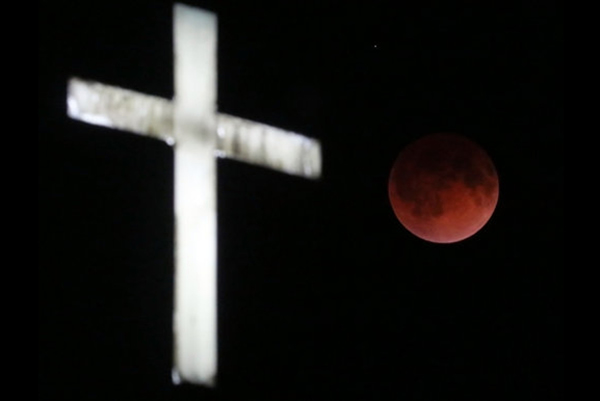 ����ӭ��2014���״���ȫʳ��Ѫ������