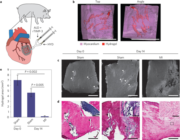һ�����ڷ��Ӷ�λͶ�ݵ�������Ӧ���ϻ���������ಡ