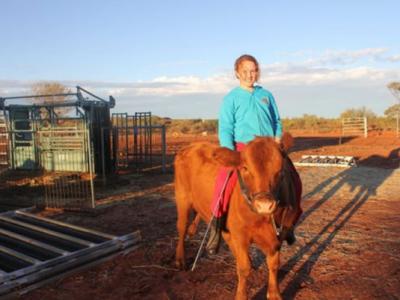 美国东北部史前文化变化与气候变化有关 - 神秘