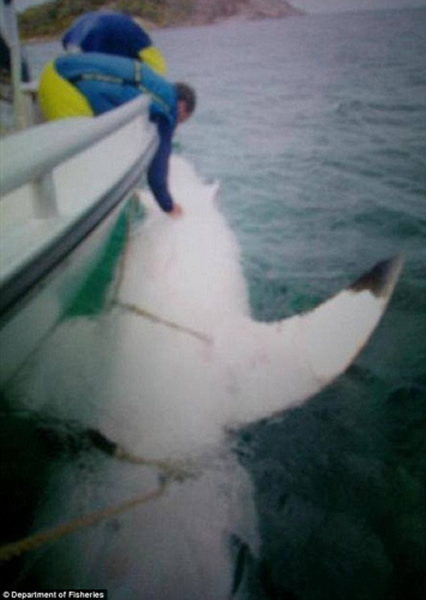 ��ѧ��Ϊ���㰲װ���ӱ�ǩװ��