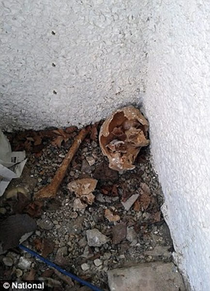 Ӣ���������ʩ����������ѷ���ź�