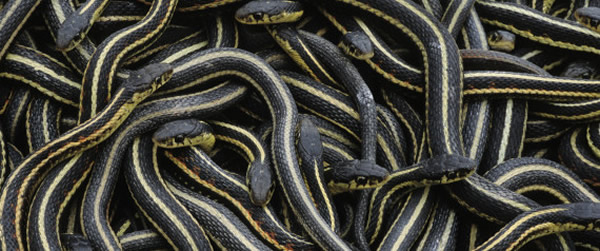 ������˹˹̹һ�������������ֱ���ͣ�ηż�