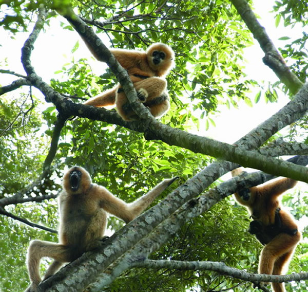 ���ϳ���Գ