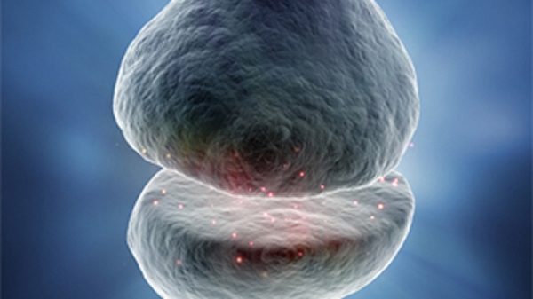 �ڴ����йر�����֢?