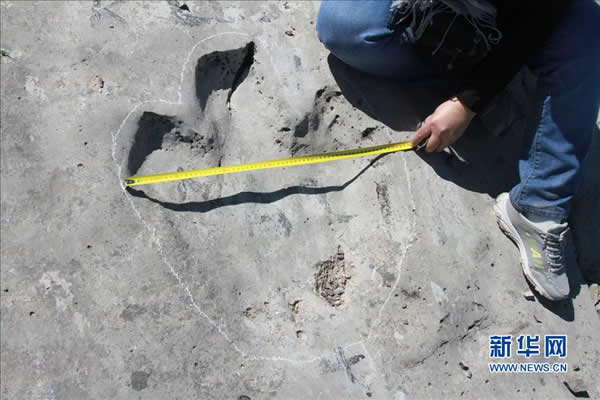 土库曼斯坦的科伊坚达格山脉发现一亿五千万年前恐龙脚印化石