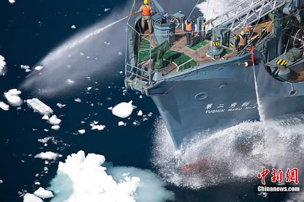 日本捕鲸船用高压水枪进行攻击国际海洋保护组织船只