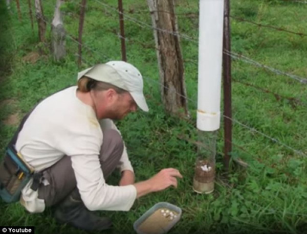 �о���͵�����ĵ�