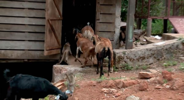 ӡ�ȴ������Ӱ�ũ������