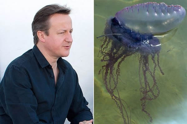 Ӣ�����࿨÷��������������Ӿ�;�����ˮĸ���