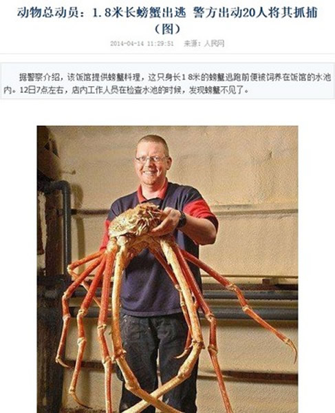 大陆新闻网站将脱逃的主角鳄鱼变成螃蟹