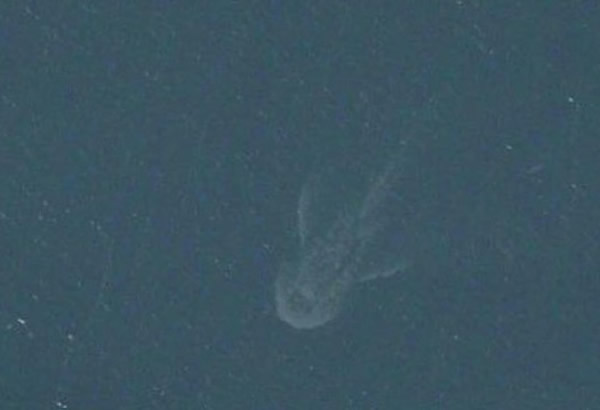 两名英国男子从iPhone卫星地图APP影像中发现疑似尼斯湖水怪身影