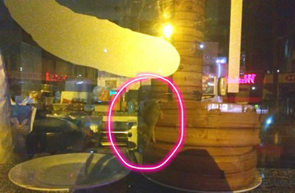 �ĵ�����������������