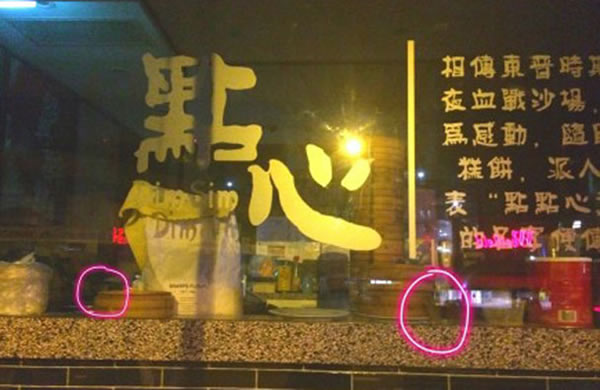 �ڷ�������ߵ����ϣ��ɼ��ж���һֻ����