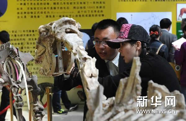 ��ϧ������Դ��2014����ʯ��չ