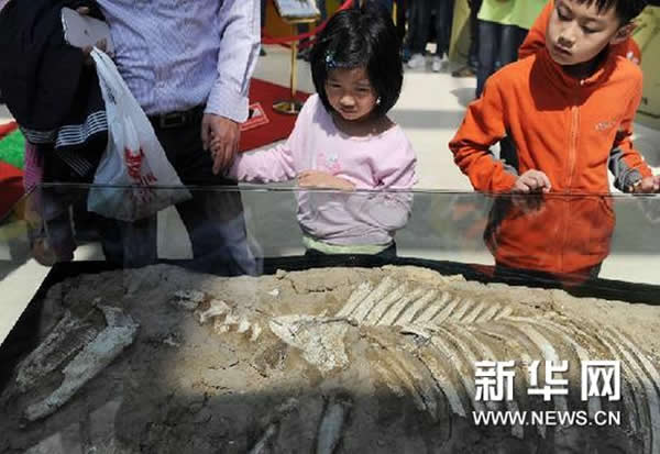 ��ϧ������Դ��2014����ʯ��չ